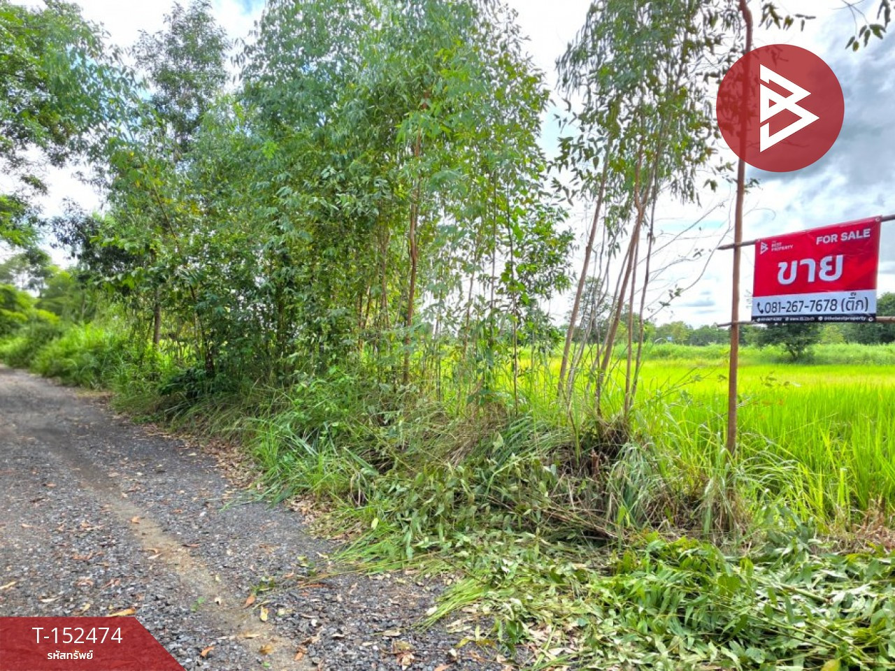 ขายที่ดิน เนื้อที่ 3 ไร่ 17 ตร.วา บรบือ มหาสารคาม – รูปที่ 3