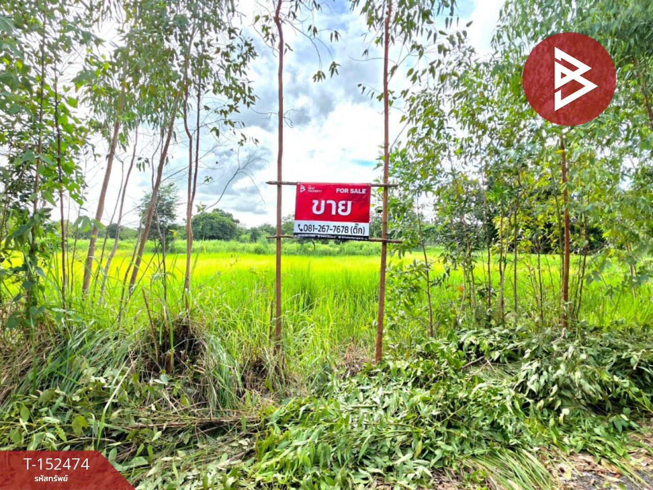 Land for sale, area 3 rai 17 sq m, Borabue, Maha Sarakham. Land for sale, area 3 rai 17 sq m, Borabue, Maha Sarakham.
