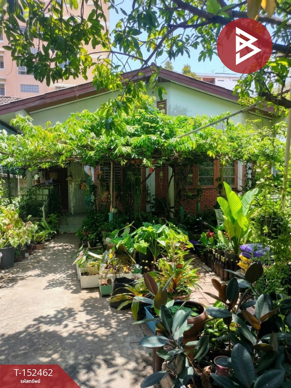 ขายบ้านเดี่ยว ซ.แบริ่ง26/2 เนื้อที่ 79 ตร.วา สำโรงเหนือ สมุทรปราการ – รูปที่ 2