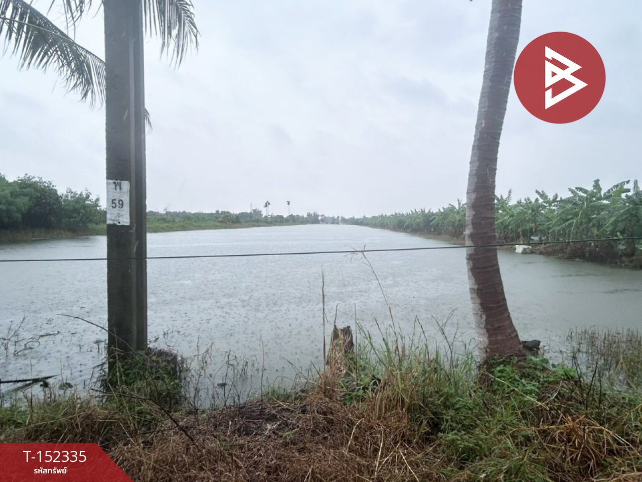 ขายที่ดิน เนื้อที่ 5 ไร่ 3 งาน 83.3 ตร.วา บางเสาธง สมุทรปราการ – รูปที่ 4