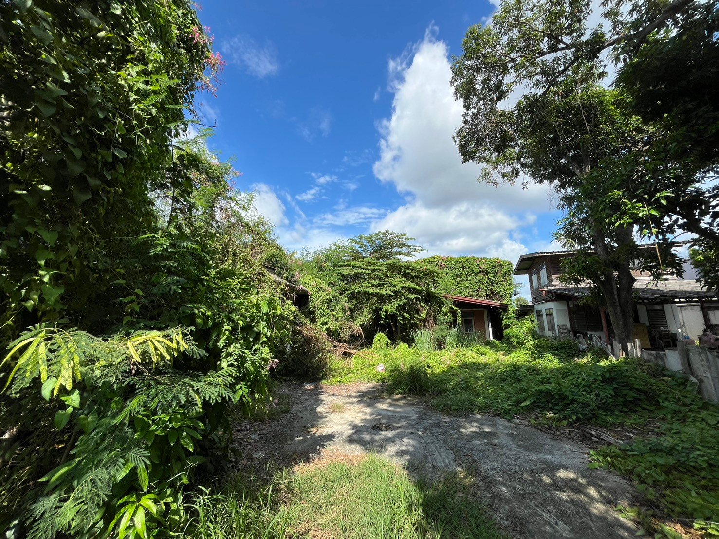 Land for Sale, 257 sq. wah Soi Khu Bon 25, Yaek 8  A filled, rectangular plot in a quiet setting with plenty of space for a private residence or home office.