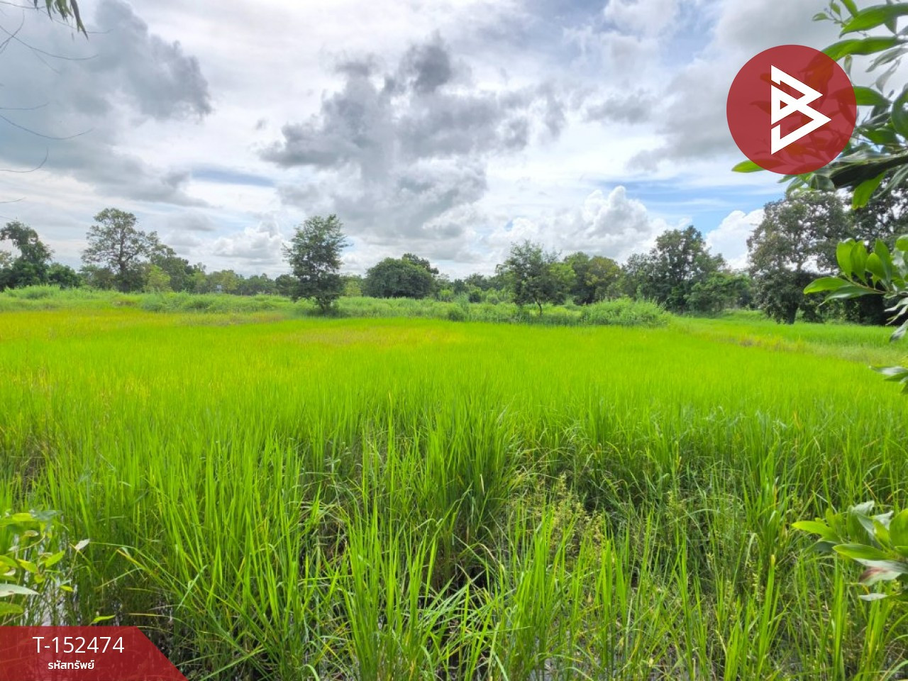 ขายที่ดิน เนื้อที่ 3 ไร่ 17 ตร.วา บรบือ มหาสารคาม – รูปที่ 4