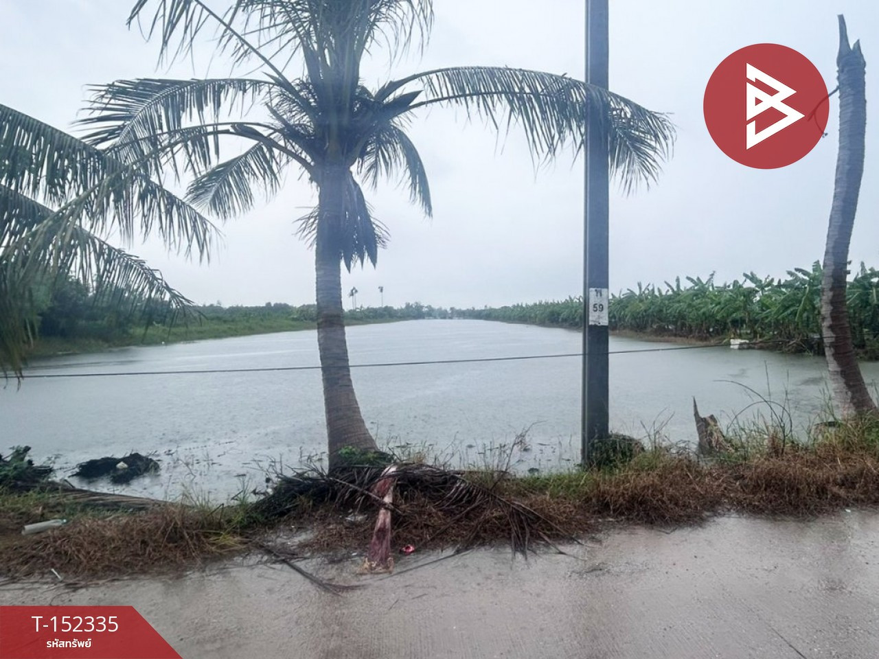 ขายที่ดิน เนื้อที่ 5 ไร่ 3 งาน 83.3 ตร.วา บางเสาธง สมุทรปราการ – รูปที่ 3