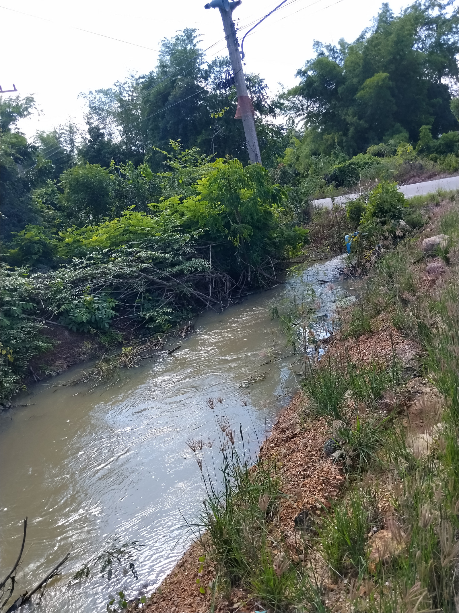 25 rai of land next to a paved road, easy entry and exit, electricity, water, internet, Red Garuda, ready to transfer. – รูปที่ 4