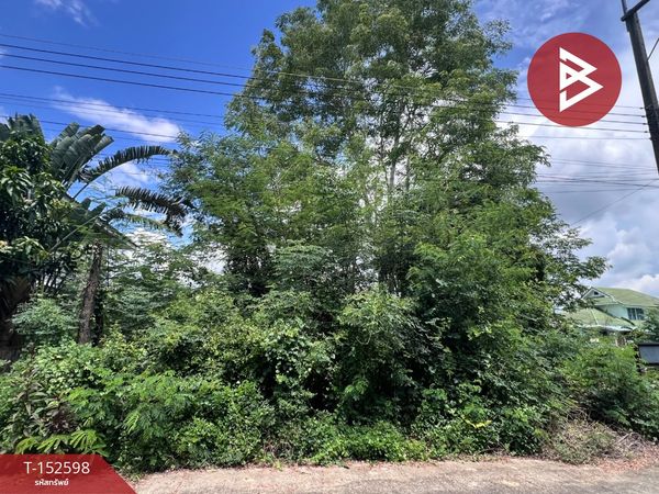 Empty land for sale, area 82 square meters, San Kamphaeng, Chiang Mai