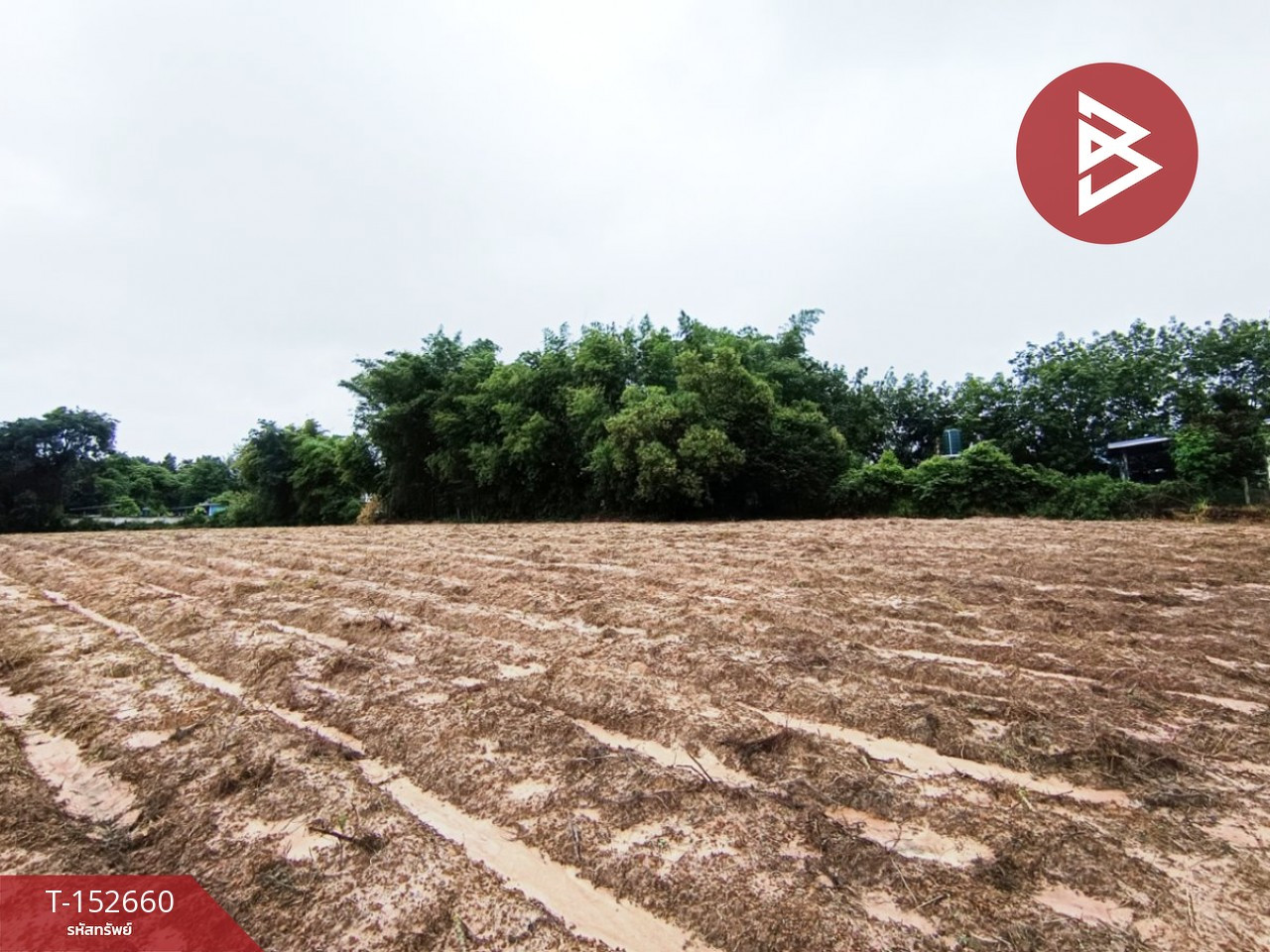 Land for sale, area 2 rai 2 ngan 99 sq m, Sawang Daen Din, Sakon Nakhon Land for sale, area 2 rai 2 ngan 99 sq m, Sawang Daen Din, Sakon Nakhon