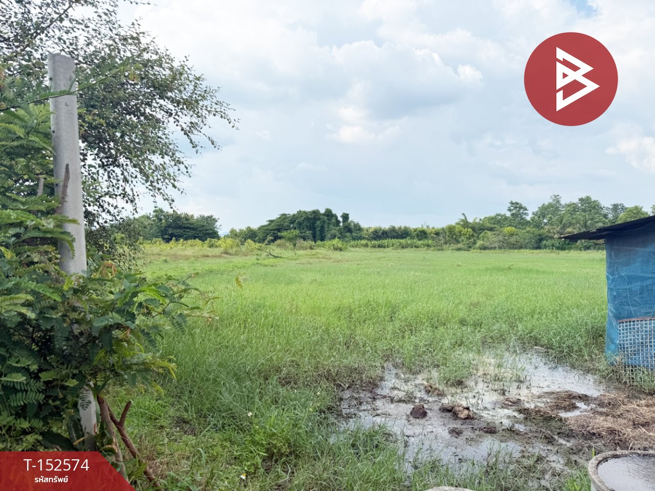 ขายที่ดิน เนื้อที่ 20 ไร่ 1 งาน 17.8 ตร.วา สันป่าตอง เชียงใหม่ – รูปที่ 4