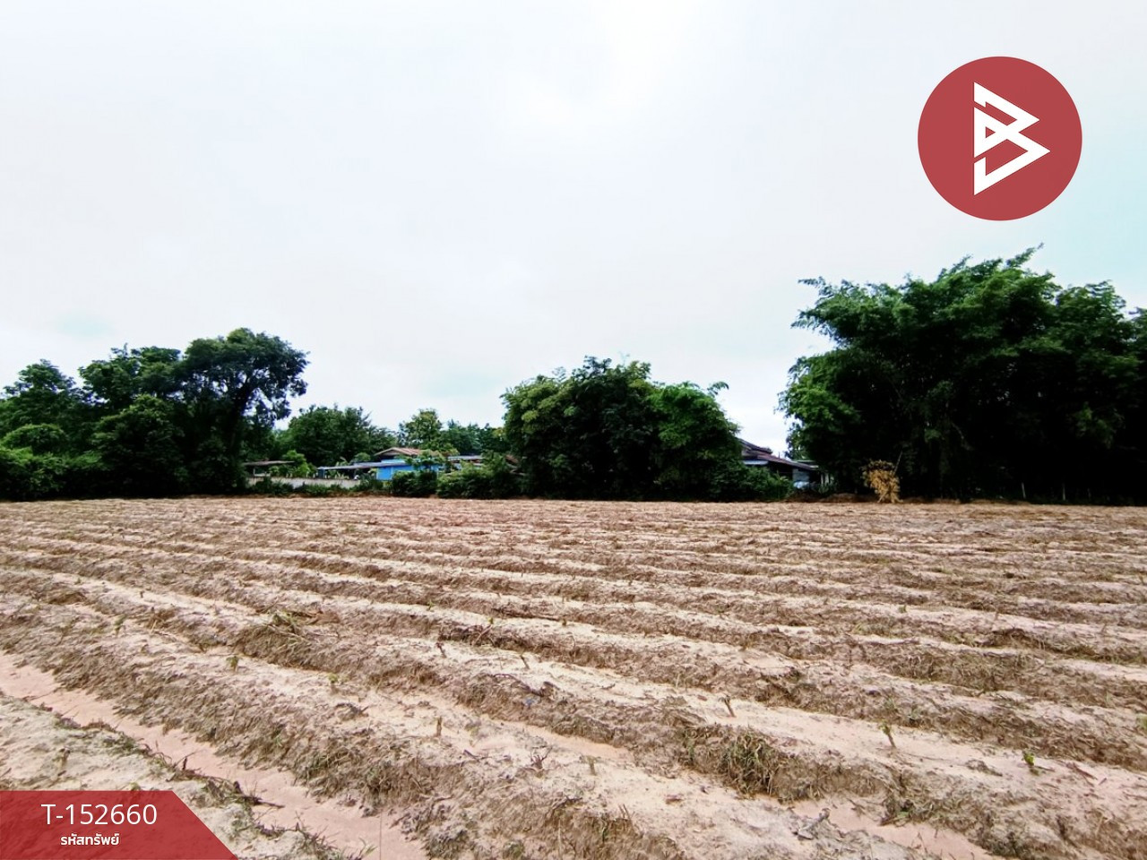 ขายที่ดิน เนื้อที่ 2 ไร่ 2 งาน 99 ตร.วา สว่างแดนดิน สกลนคร – รูปที่ 3