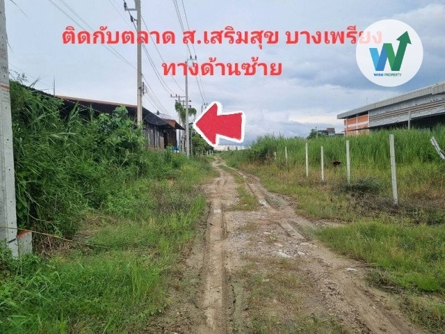 ขายที่ดิน 100 ตรว ถมแล้ว ใกล้ตลาดส.เสริมสุข บางเพรียง บางบ่อ สมุทรปราการ  – รูปที่ 3