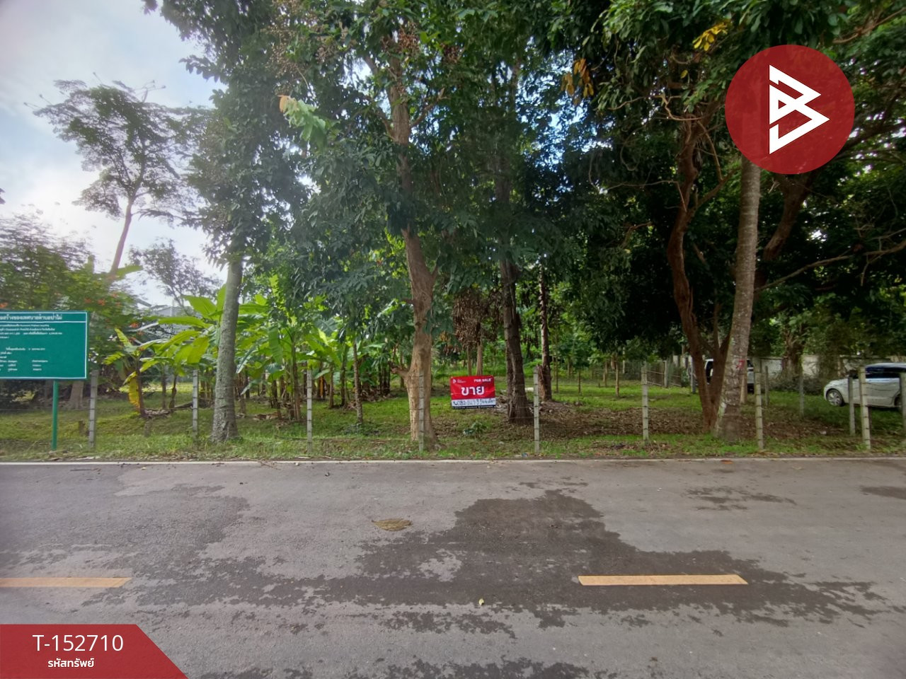 Land for sale, area 4 rai 55 sq m, San Sai, Chiang Mai. Land for sale, area 4 rai 55 sq m, San Sai, Chiang Mai.