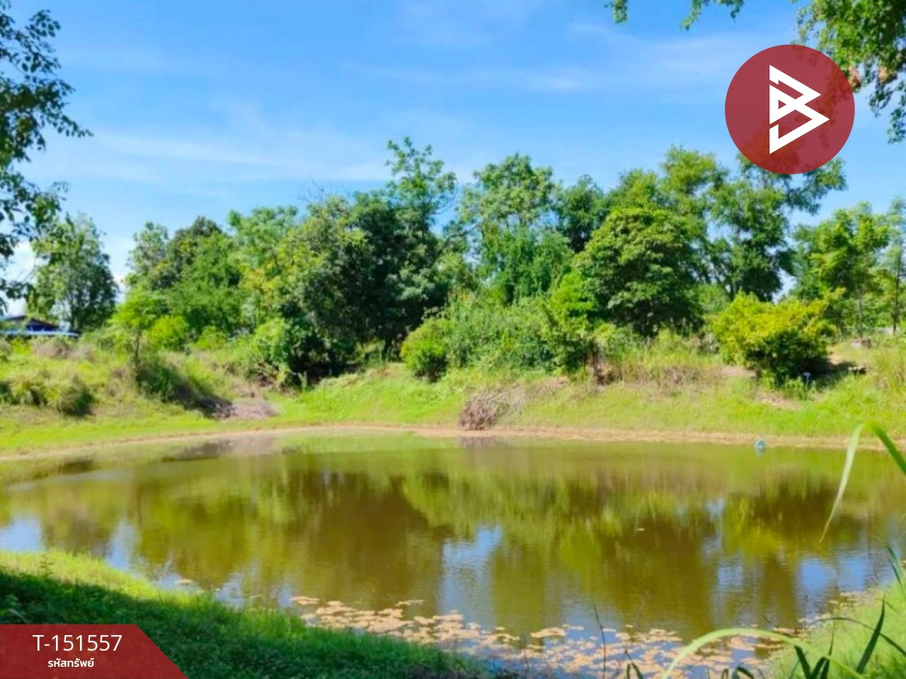 ขายที่ดิน เนื้อที่ 5 ไร่ 25.9 ตร.วา บ้านหมอ สระบุรี – รูปที่ 4