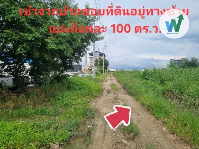 ขายที่ดิน 100 ตรว ถมแล้ว ใกล้ตลาดส.เสริมสุข บางเพรียง บางบ่อ สมุทรปราการ  – รูปที่ 2
