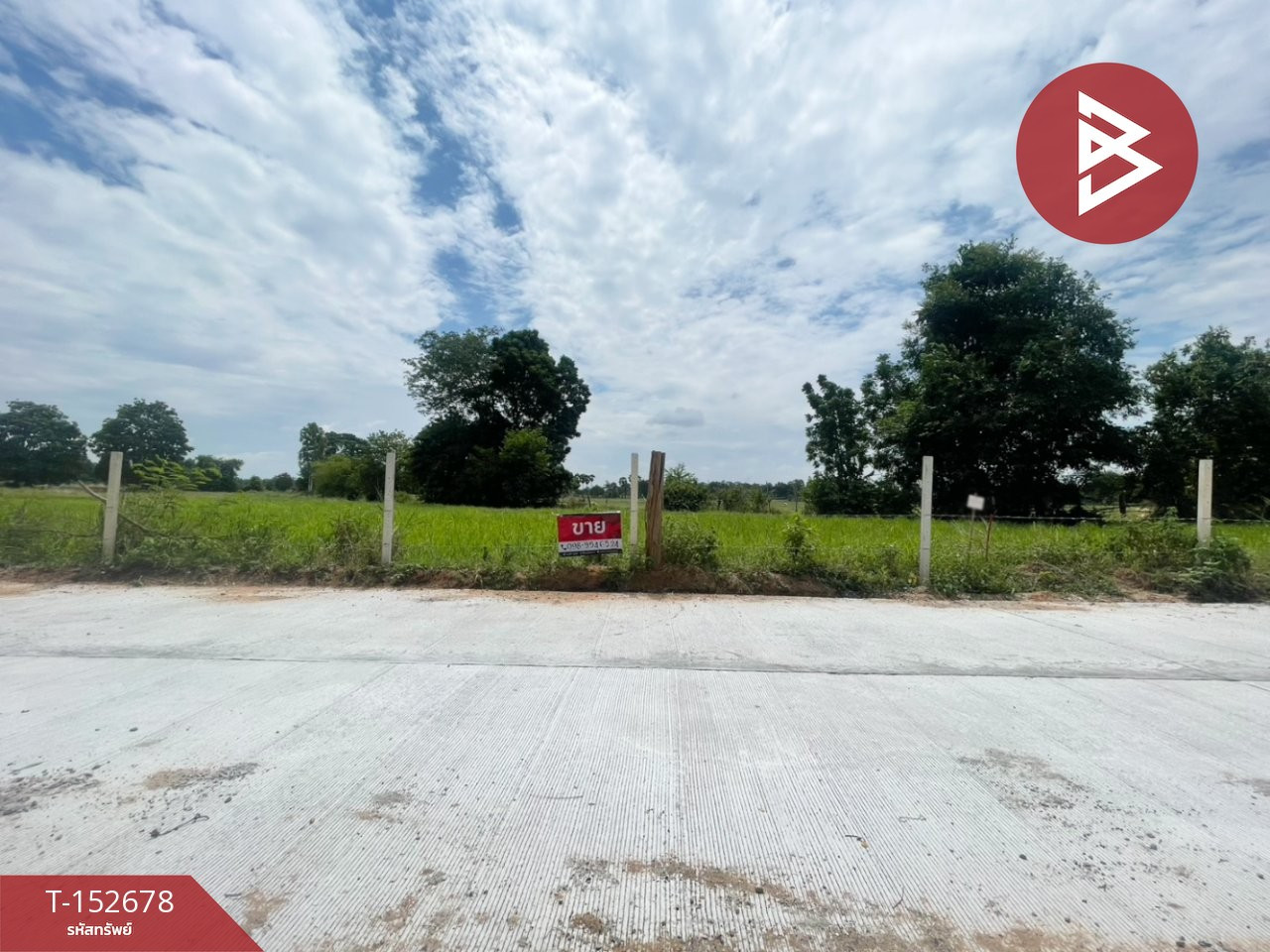 Land for sale, area 4 rai 1 ngan 15.8 square wa, Ban Phai District, Khon Kaen. Land for sale, area 4 rai 1 ngan 15.8 square wa, Ban Phai District, Khon Kaen.