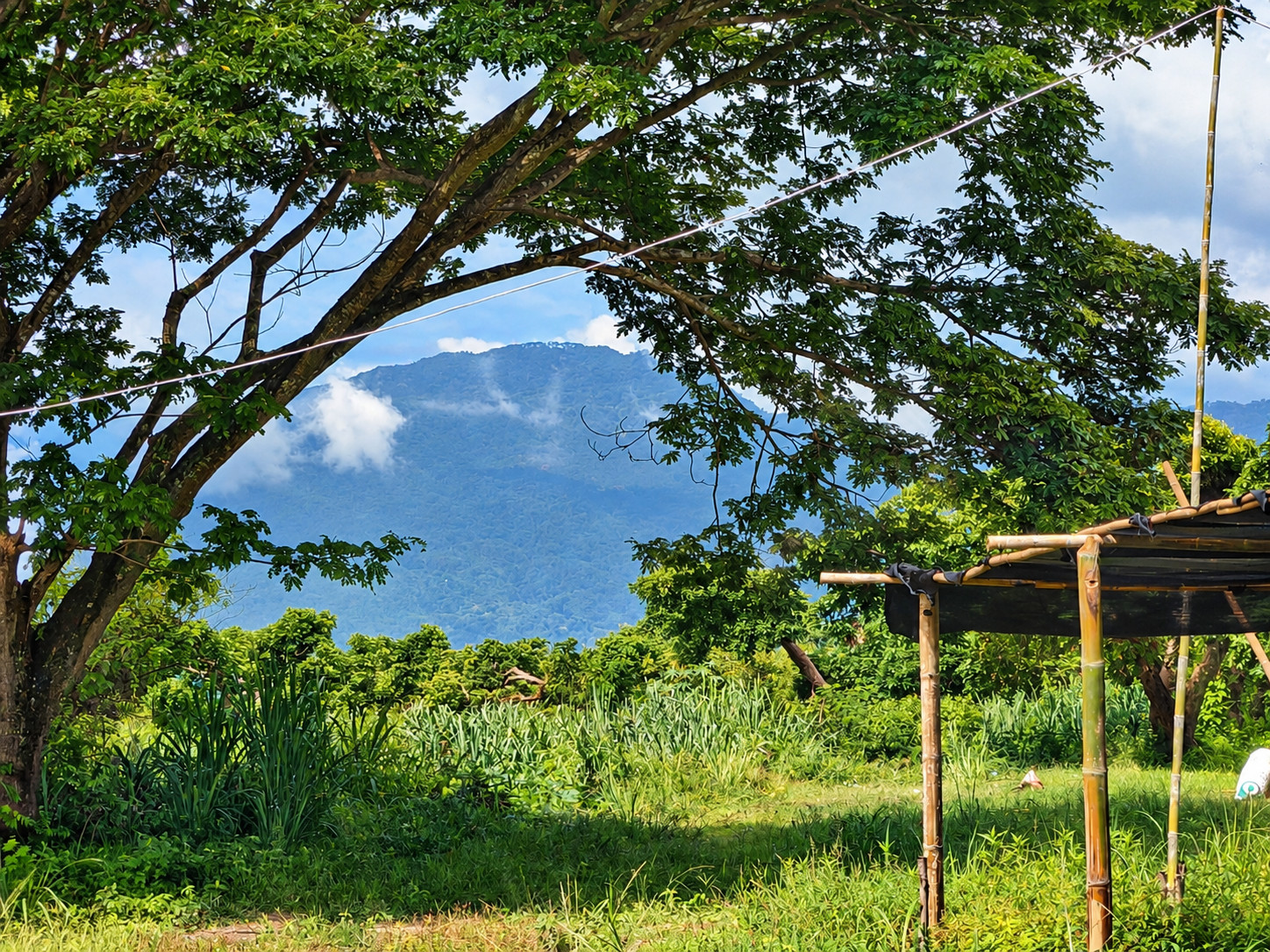 Rare 146 Rai Chiang Mai Land | 243 Mountain View Plots in San Sai – รูปที่ 4