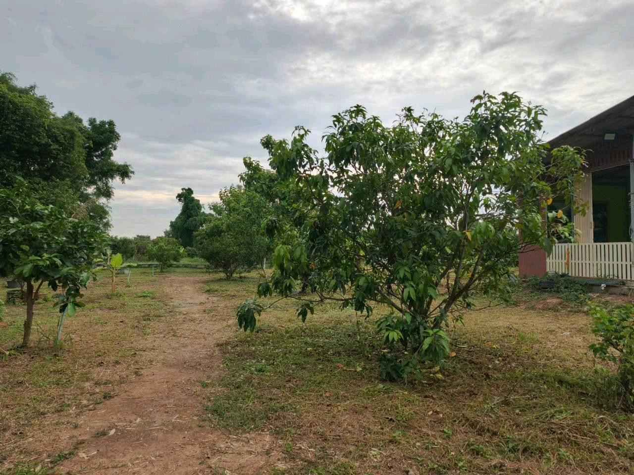 ขายที่ดิน 1 ไร่ พร้อมบ้าน 1 หลัง ต.ป่าขะ อ.บ้านนา จ.นครนายก – รูปที่ 2