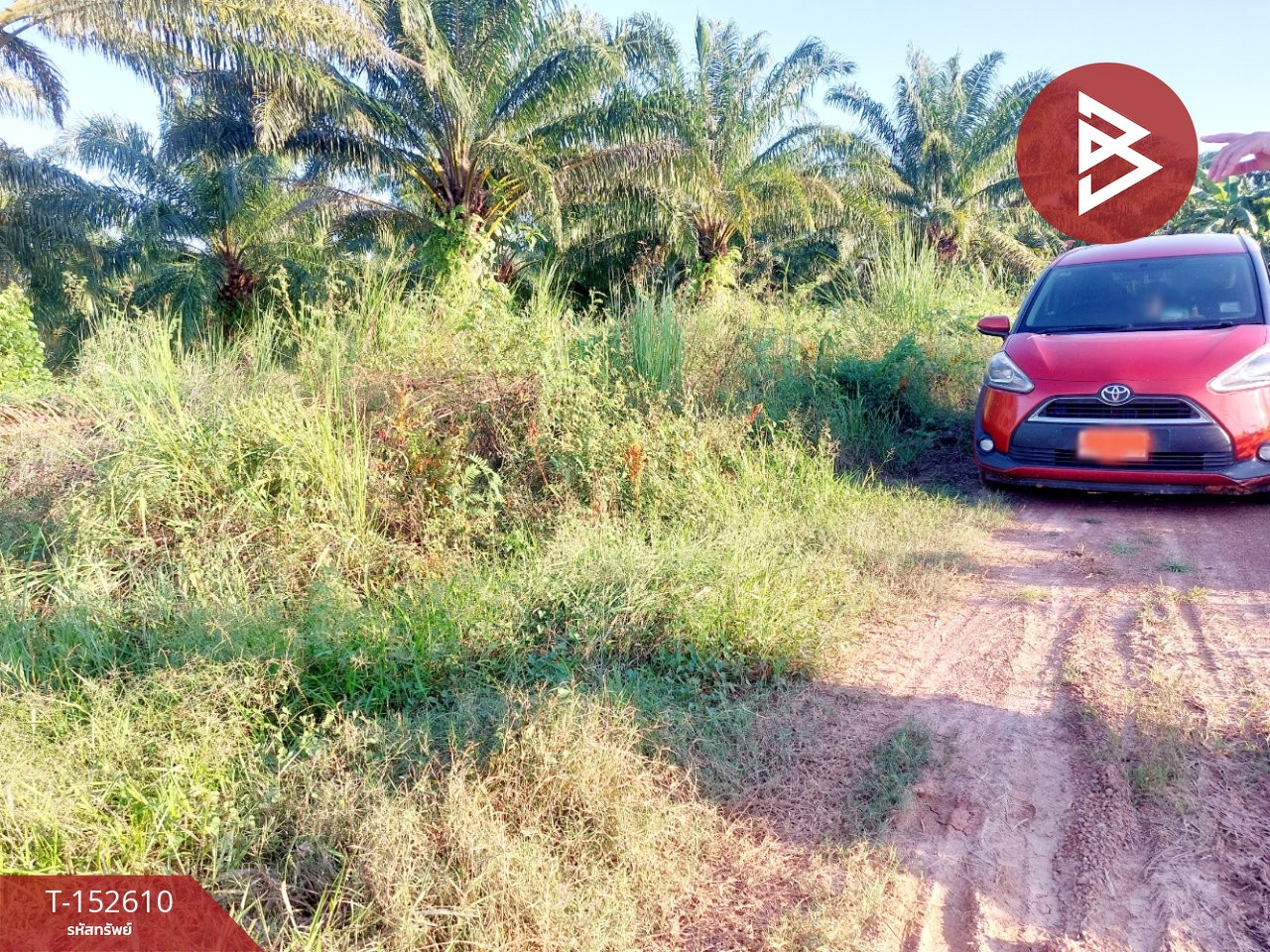 ขายที่ดิน 37 ไร่ 2 งาน 74 ตร.วา รัตนวาปี หนองคาย – รูปที่ 4