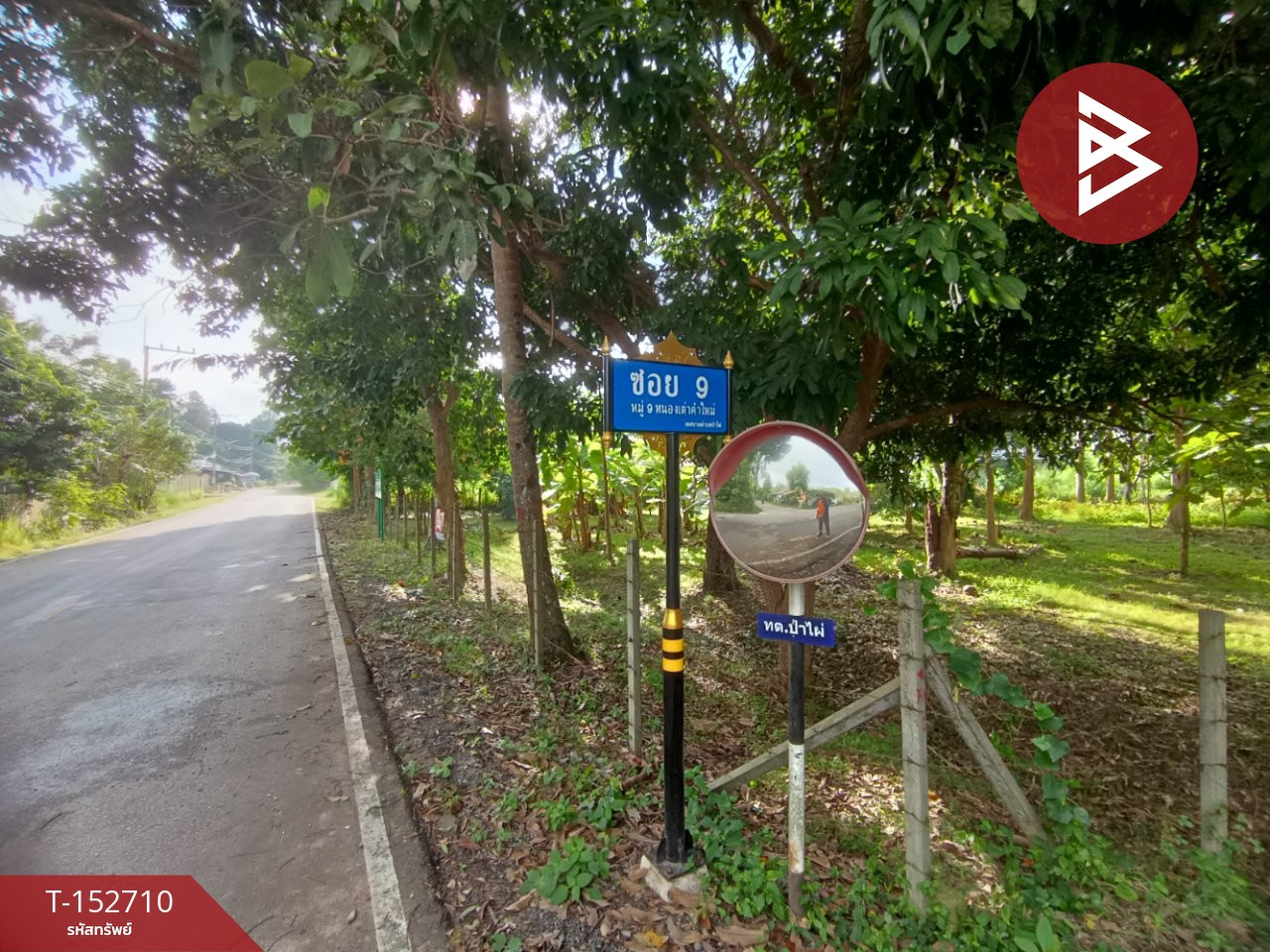  ขายที่ดิน เนื้อที่ 4 ไร่ 55 ตร.วา สันทราย เชียงใหม่ – รูปที่ 4