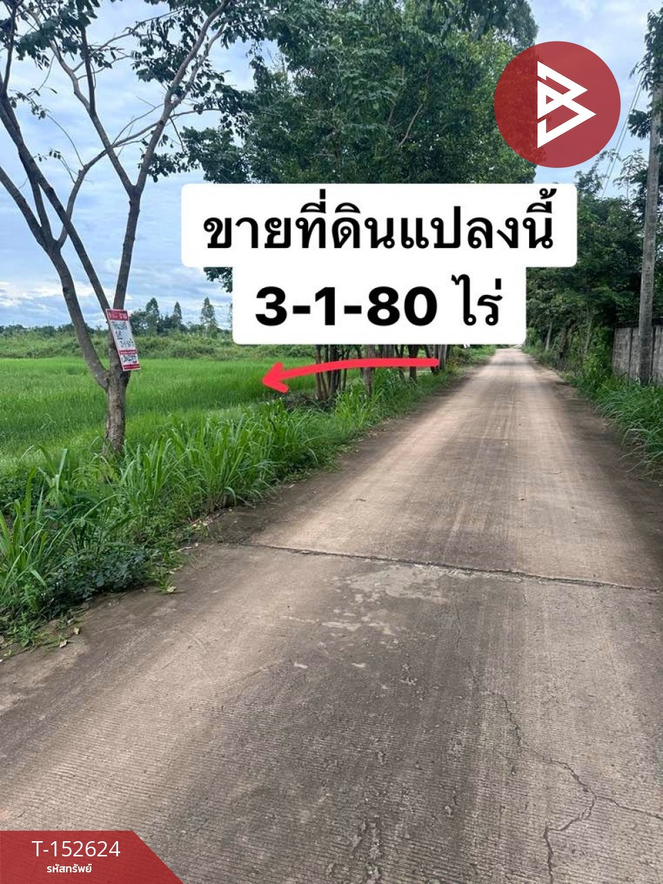 Land for sale, area 3 rai 1 ngan 80 square wa, Sila, Khon Kaen, pink area. – รูปที่ 4
