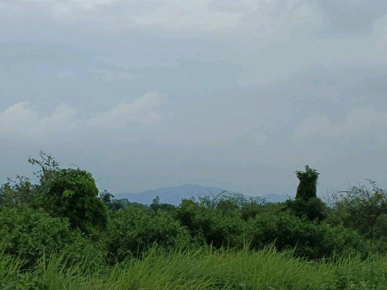 ขายที่ดิน 1 ไร่ พร้อมบ้าน 1 หลัง ต.ป่าขะ อ.บ้านนา จ.นครนายก – รูปที่ 4