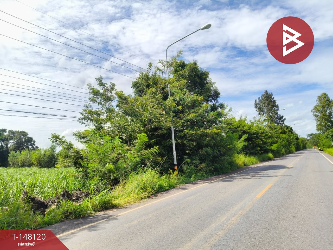 Land for sale, area 33 rai 1 ngan 63 sq m, Prakhon Chai, Buriram. – รูปที่ 3