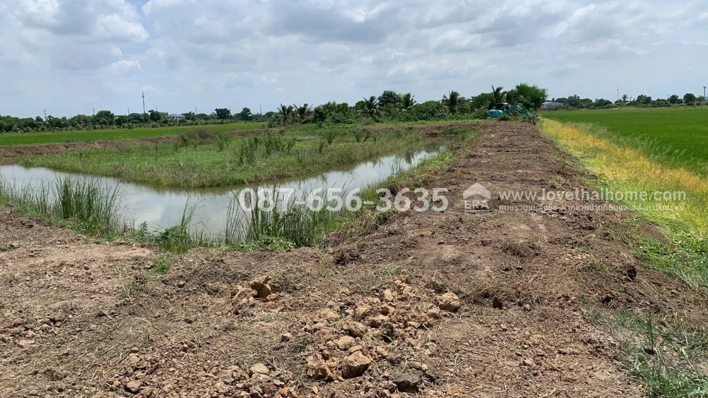 ขายที่ดินบางกรวย–ไทรน้อย แปลงสวย 2 ไร่กว่า เพียง 4.5 ล้านบาท! ราคานี้หาได้ยาก! แปลงใหญ่ เหมาะสร้างบ้านพักอาศัย หรือทำบ้านสวนส่วนตัว – รูปที่ 2