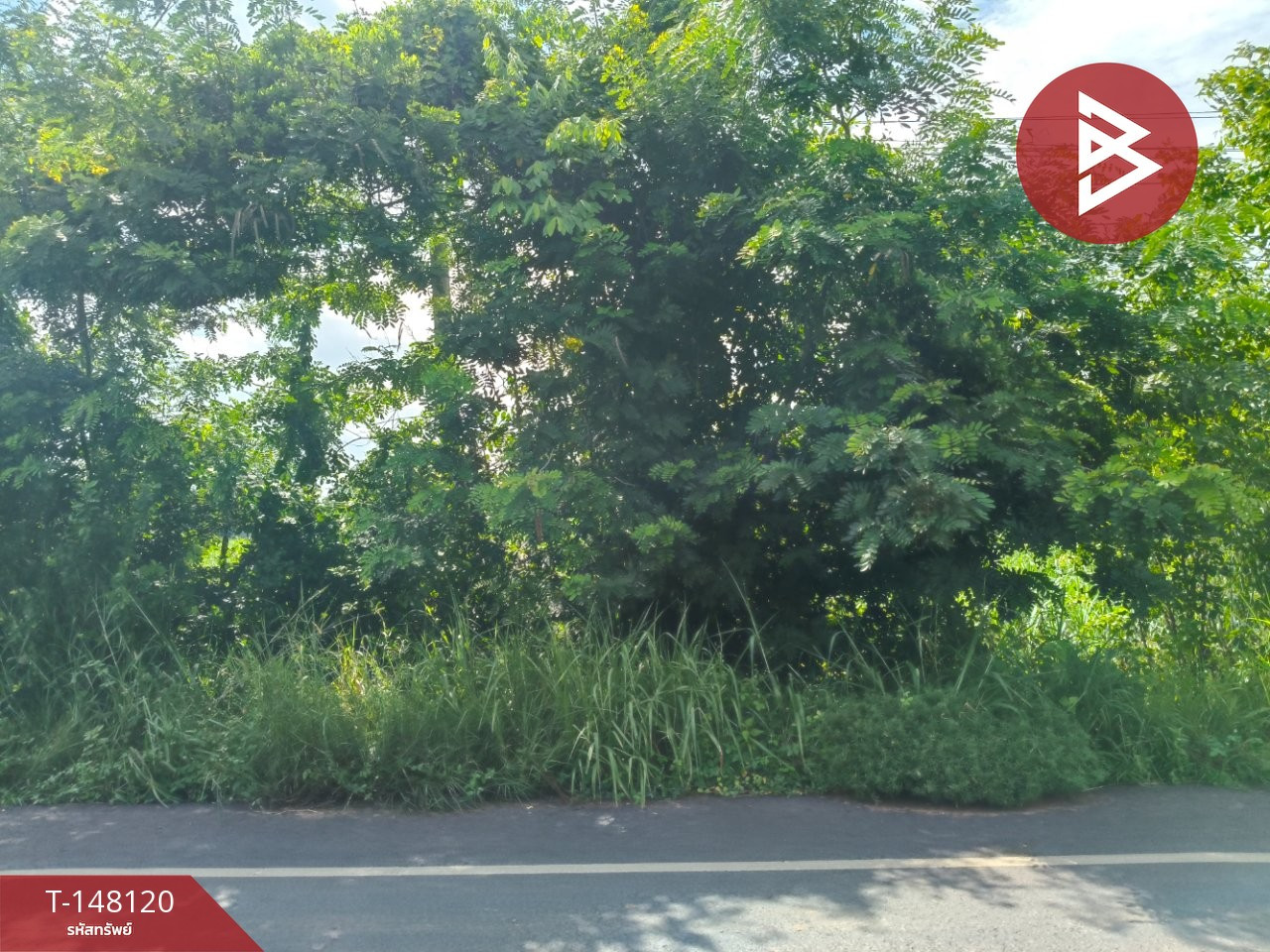 Land for sale, area 33 rai 1 ngan 63 sq m, Prakhon Chai, Buriram. – รูปที่ 4