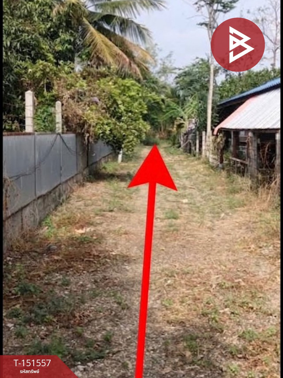 ขายที่ดิน เนื้อที่ 5 ไร่ 25.9 ตร.วา บ้านหมอ สระบุรี – รูปที่ 3