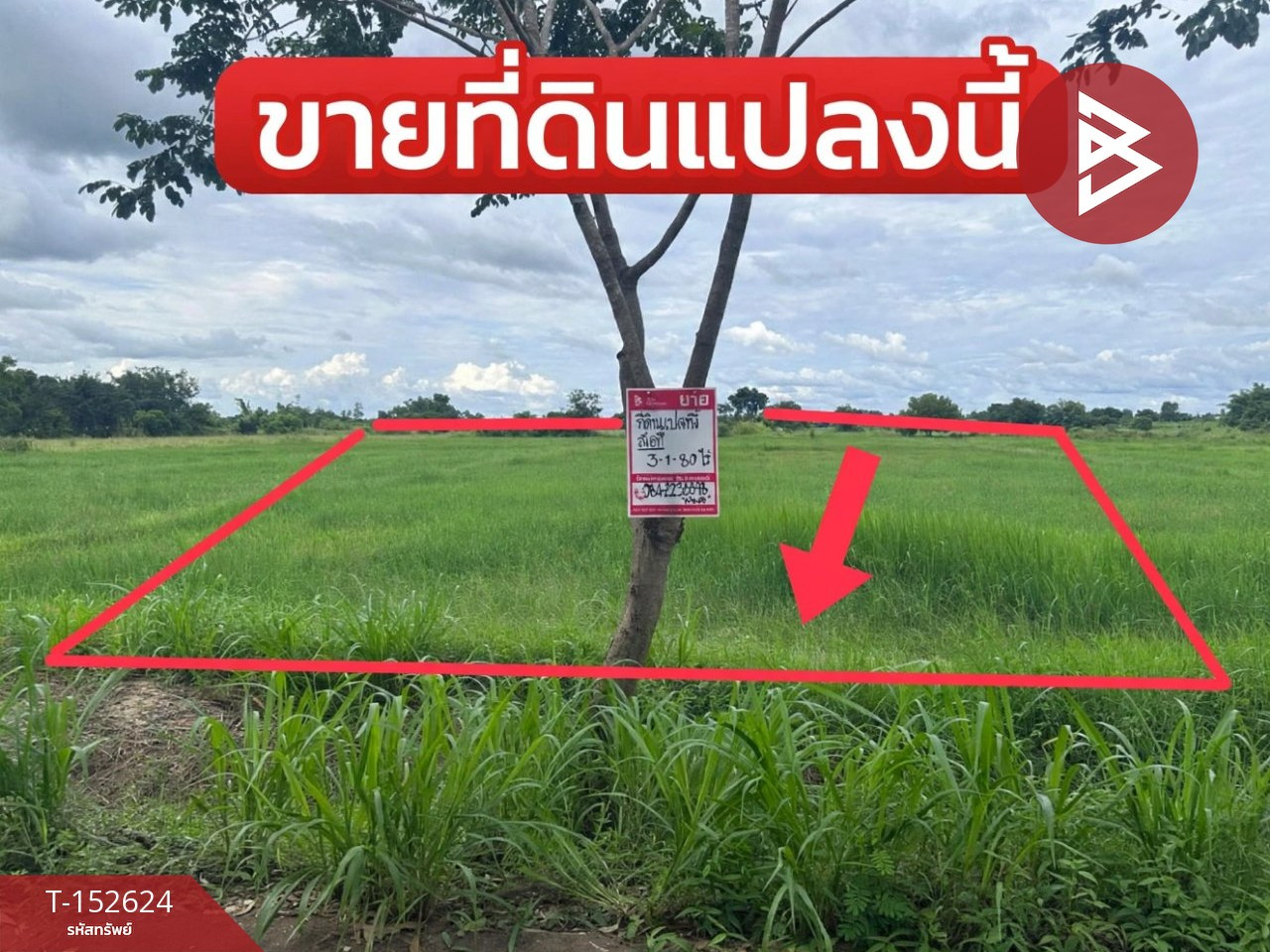 Land for sale, area 3 rai 1 ngan 80 square wa, Sila, Khon Kaen, pink area. – รูปที่ 2