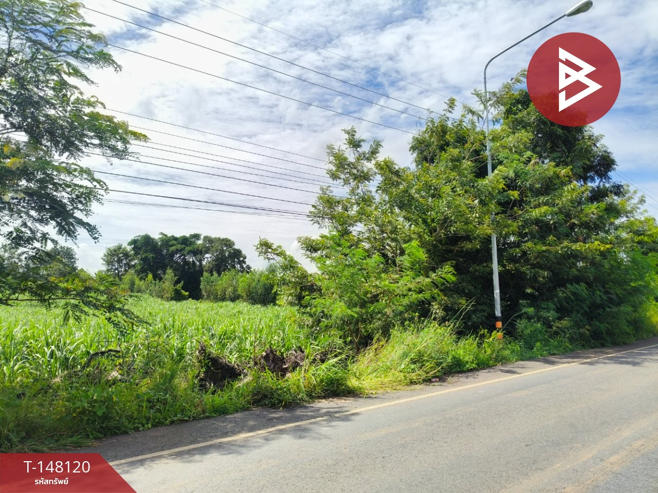 Land for sale, area 33 rai 1 ngan 63 sq m, Prakhon Chai, Buriram. – รูปที่ 2