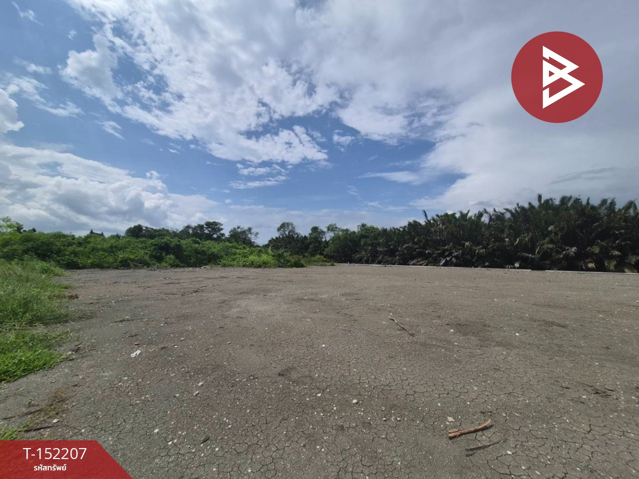 ขายที่ดิน เนื้อที่ 2 ไร่ 3 งาน 3.9 ตร.วา นางตะเคียน สมุทรสงคราม – รูปที่ 2
