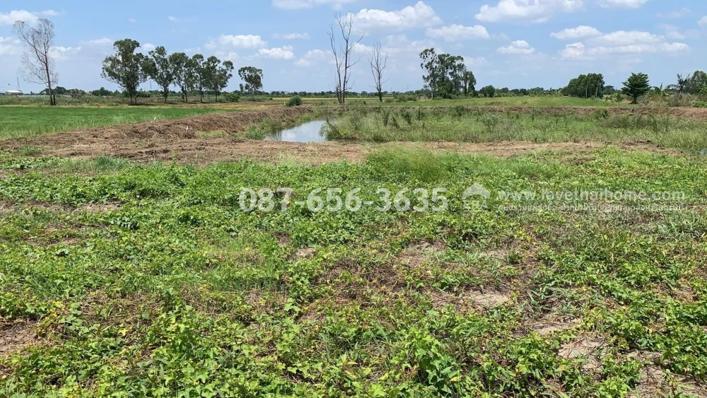 ขายที่ดินบางกรวย–ไทรน้อย แปลงสวย 2 ไร่กว่า เพียง 4.5 ล้านบาท! ราคานี้หาได้ยาก! แปลงใหญ่ เหมาะสร้างบ้านพักอาศัย หรือทำบ้านสวนส่วนตัว – รูปที่ 3