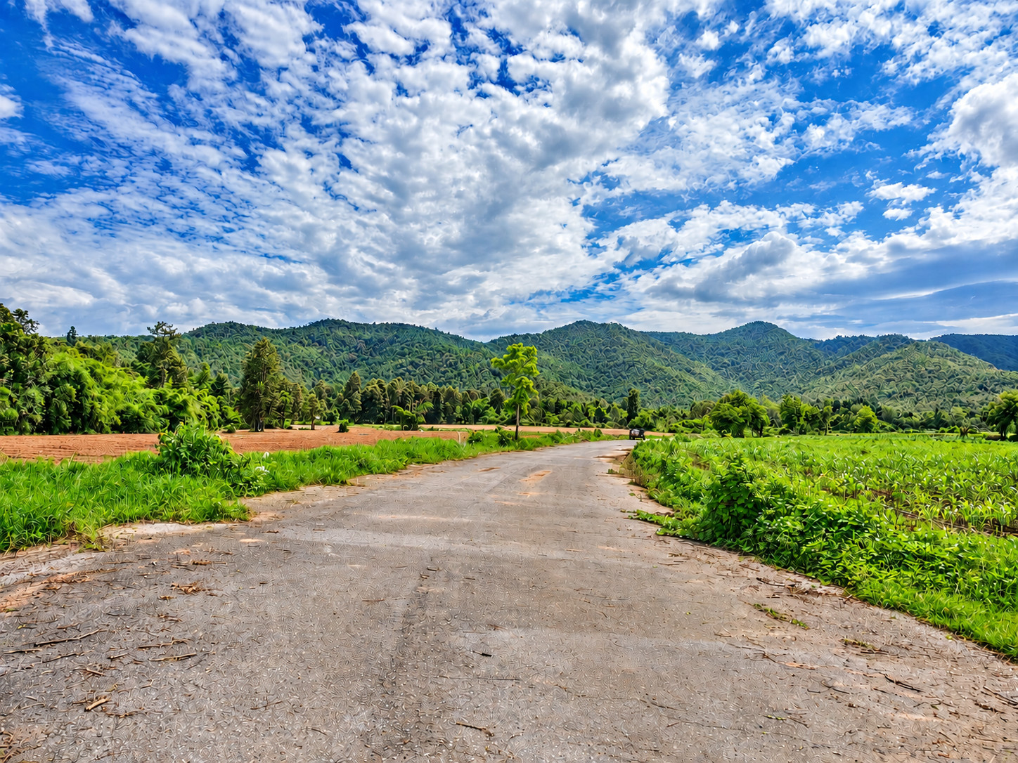 Rare 262 Rai Chiang Mai Land | Mountain Setting for Landmark Development - U6780904 Rare 262 Rai Chiang Mai Land | Mountain Setting for Landmark Development - U6780904