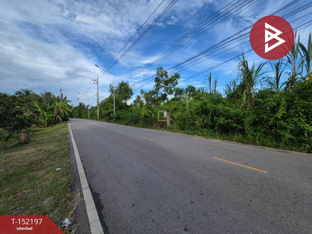 Land for sale, area 6 rai 41 sq m, Amphawa, Samut Songkhram. – รูปที่ 3