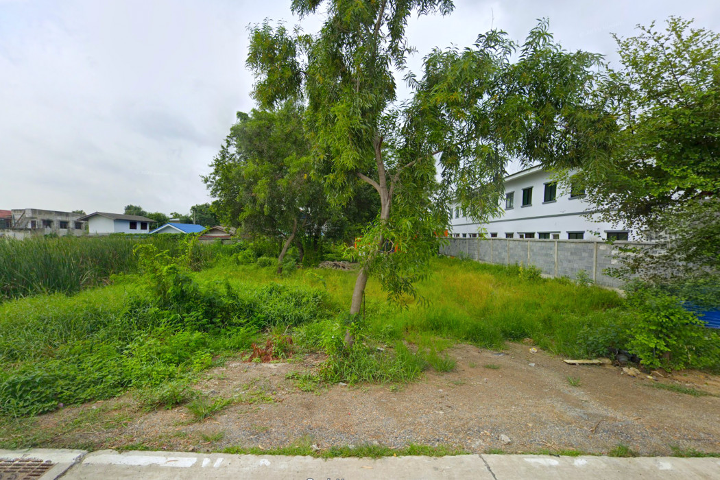 ขาย ที่ดิน ซ.บงกช 25 คลองสอง 200 ตรว. ใกล้ถ.คลองหลวง เพียง 1.9 กม. DD – รูปที่ 3