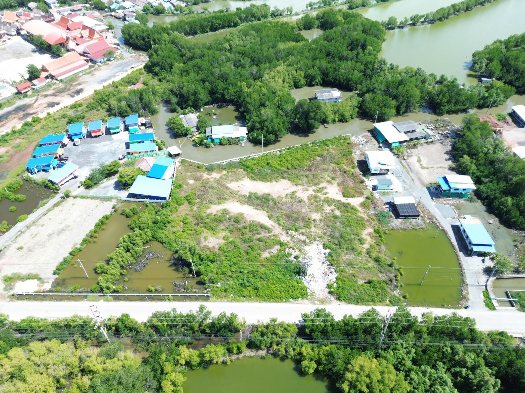 Land for sale, Thian Talay 25, size over 3 rai, near Bang Khun Thian Road, 2.1 km. DD – รูปที่ 4