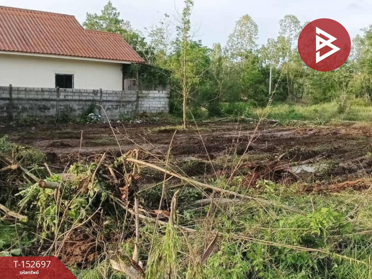 Urgent sale of vacant land, area 1 ngan, 20.2 sq m, Nong Phai, Mueang Udon Thani, good location. – รูปที่ 3