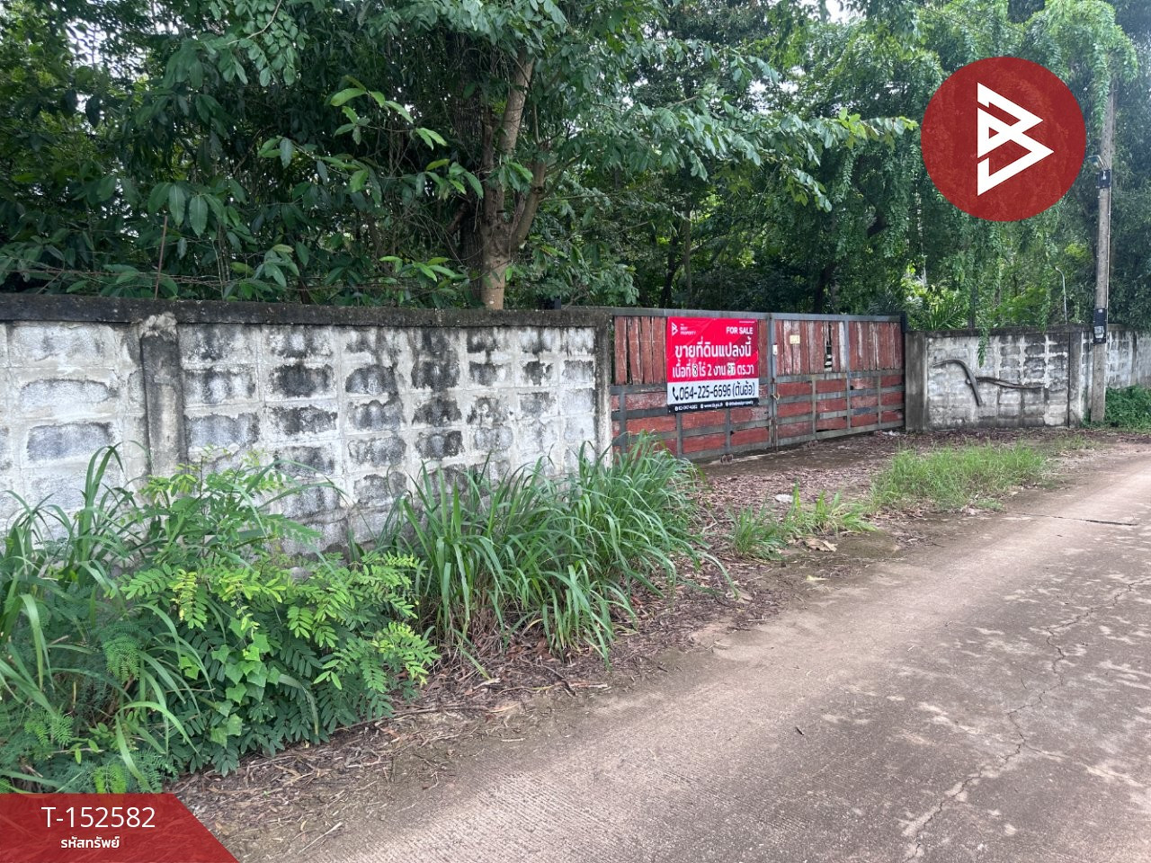 Beautiful plot of land for sale, area 8 rai 2 ngan 9.7 square wah, Sila, Khon Kaen. Beautiful plot of land for sale, area 8 rai 2 ngan 9.7 square wah, Sila, Khon Kaen.