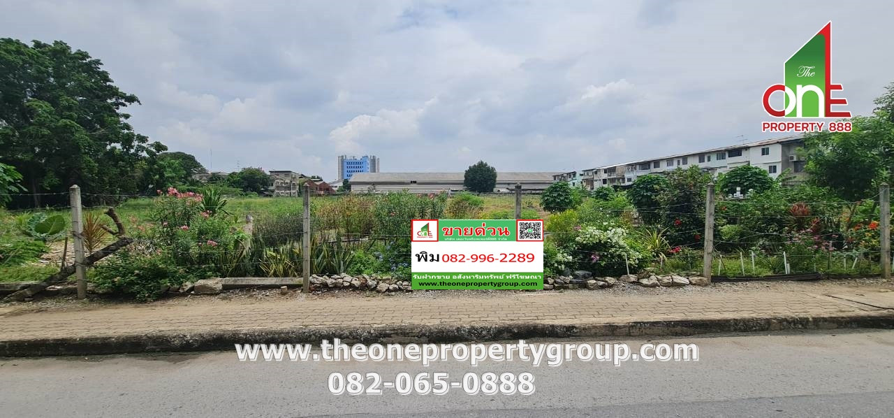 🌳Land, Soi Phetkasem 51, Phetkasem Road, Bang Khae Nuea Subdistrict, Bang Khae District, Bangkok🌳 🌳Land, Soi Phetkasem 51, Phetkasem Road, Bang Khae Nuea Subdistrict, Bang Khae District, Bangkok🌳
