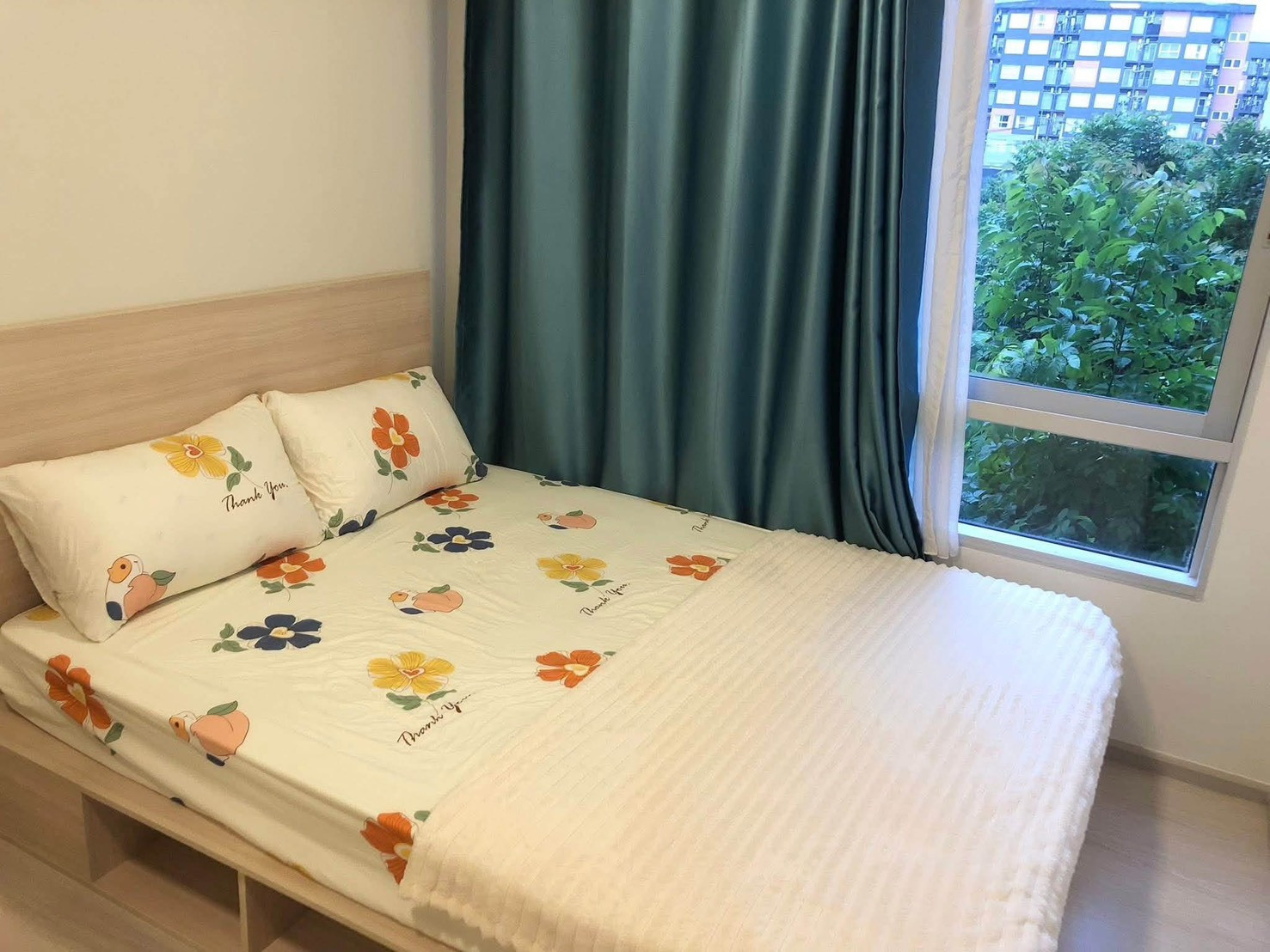 🏙️ For rent 𝗣𝗟𝗨𝗠 𝗔𝗟𝗜𝗩𝗘 𝟮 | Building C, 3rd floor | Shady view 🌿 | Complete electrical appliances ✨