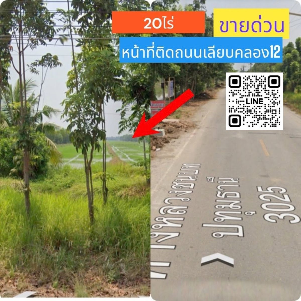 Urgent sale, land 20 rai, Khlong 12, Nong Suea, Pathum Thani. Urgent sale, land 20 rai, Khlong 12, Nong Suea, Pathum Thani.