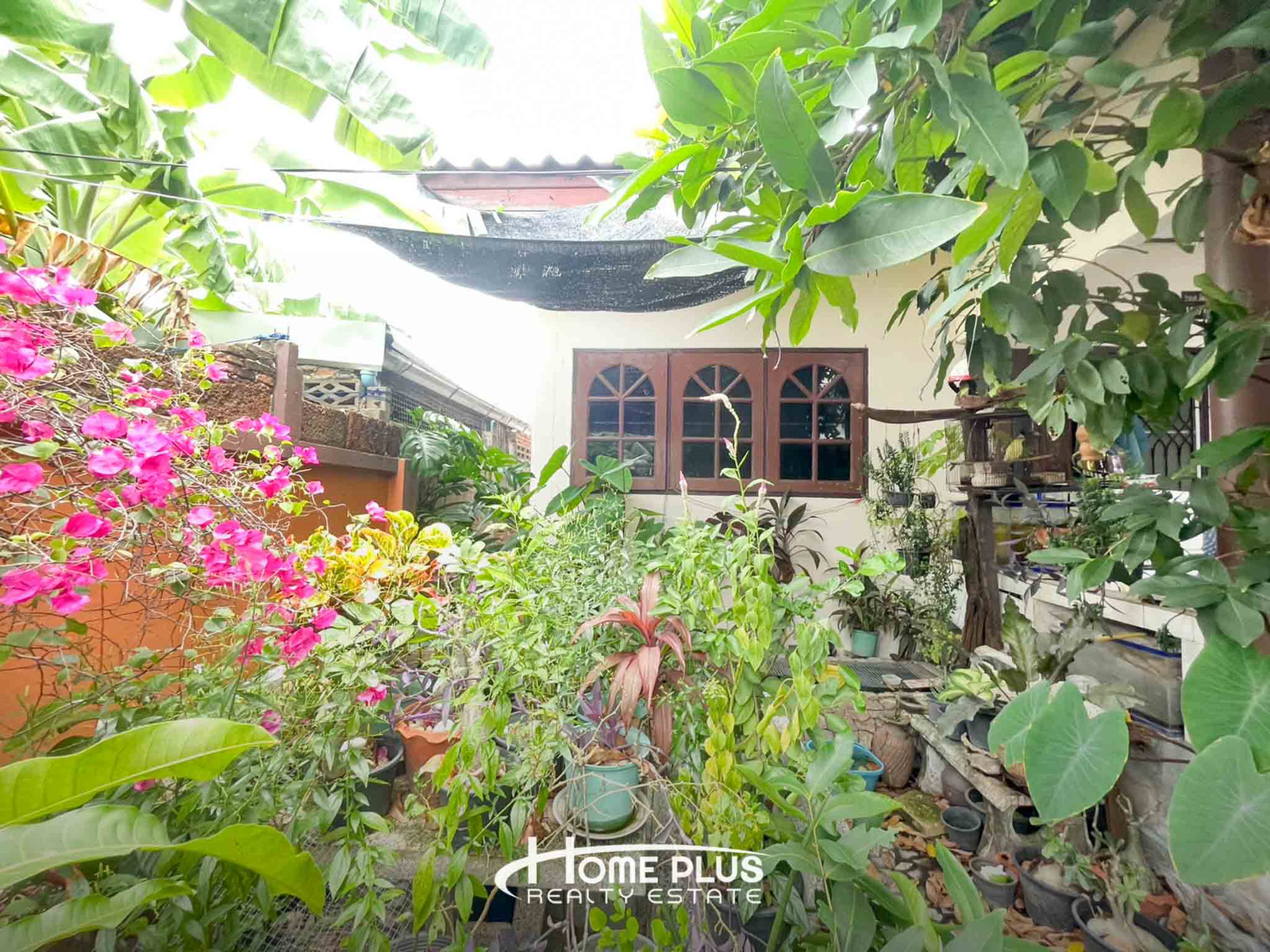 🏡 ขายบ้านเดี่ยว 1 ชั้น ซอยเคหะร่มเกล้า 58 ใกล้ตลาดเกรียงไกร ลาดกระบัง – รูปที่ 4