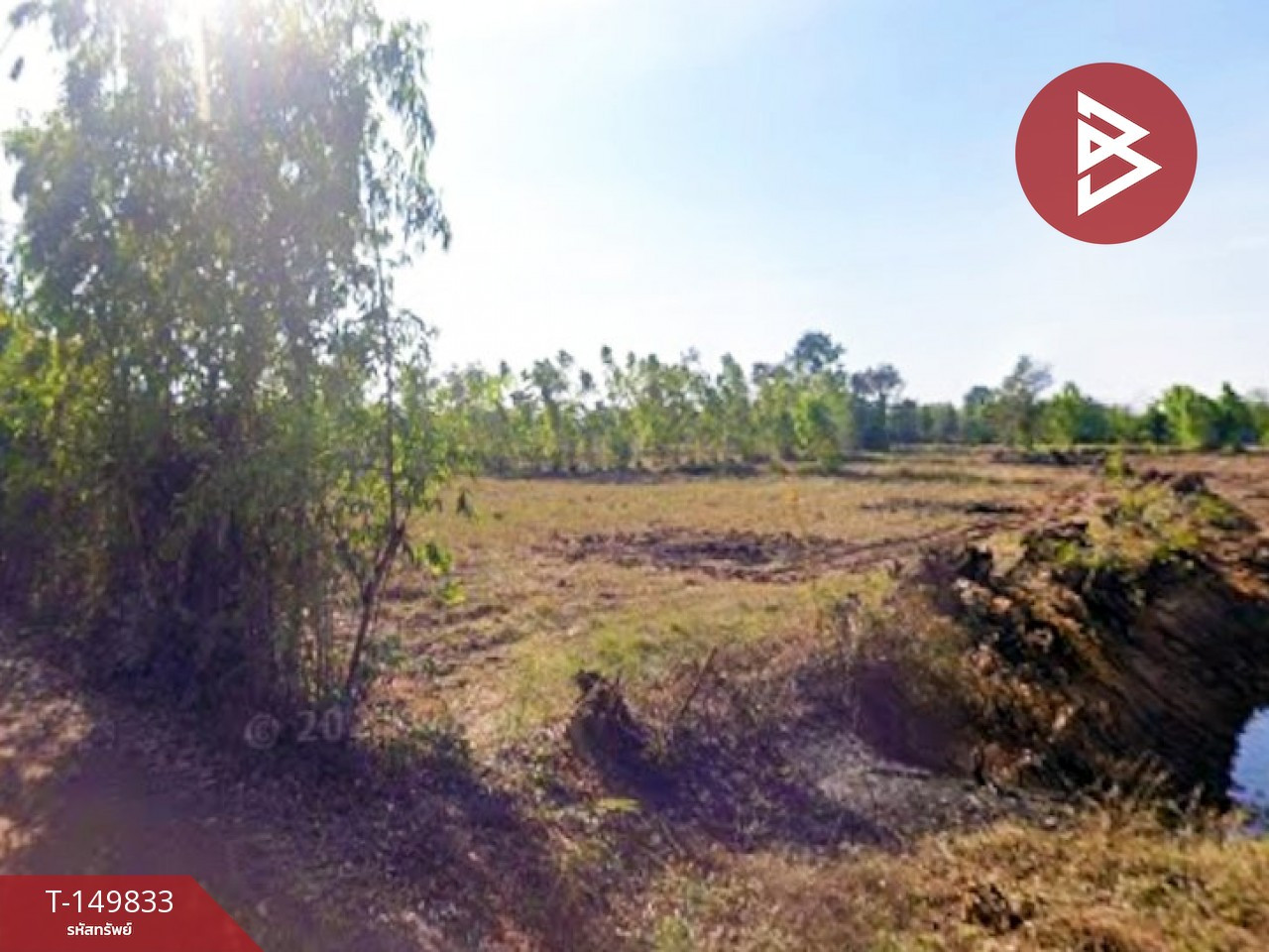 Land for sale, area 4 rai 55 square wa, Aranyaprathet, Sa Kaeo – รูปที่ 2