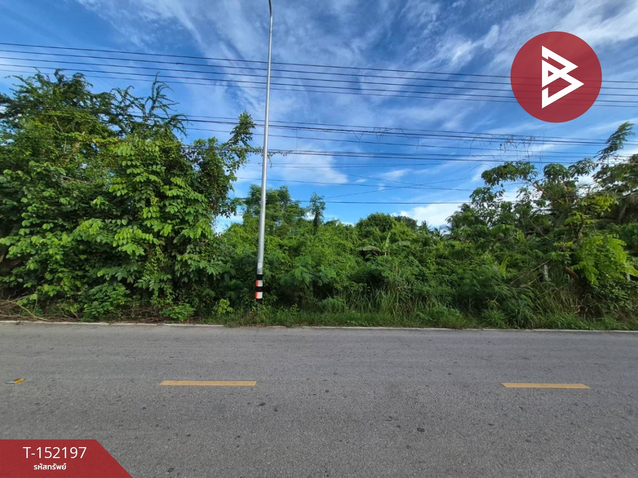 Land for sale, area 6 rai 41 sq m, Amphawa, Samut Songkhram. – รูปที่ 2