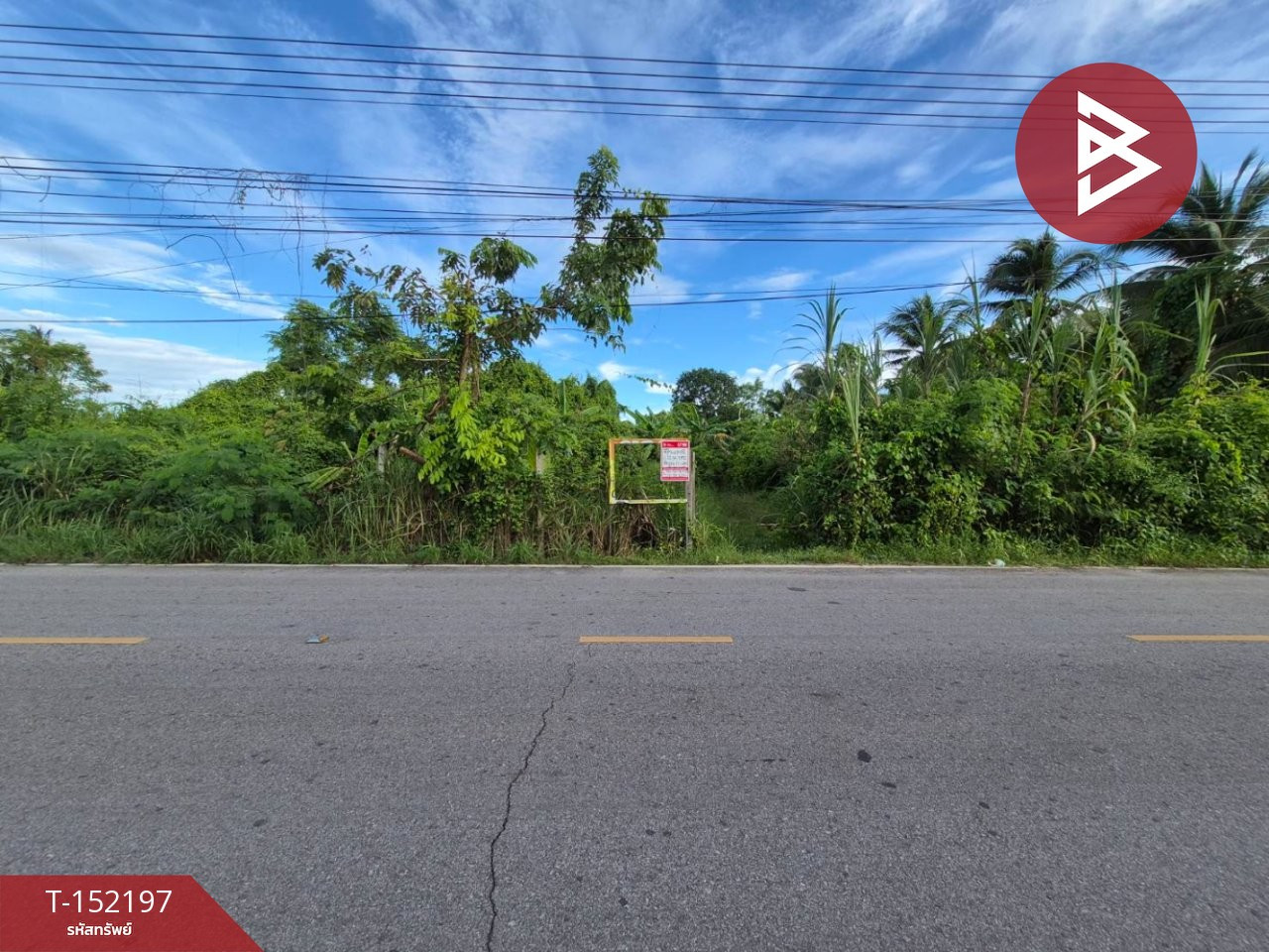 Land for sale, area 6 rai 41 sq m, Amphawa, Samut Songkhram.