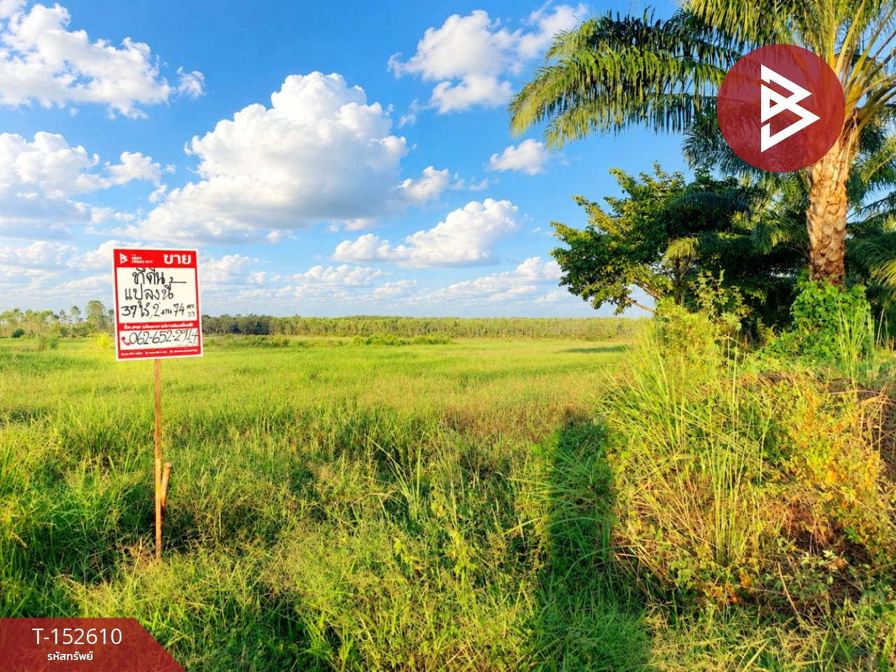 Land for sale 37 rai 2 ngan 74 sq m, Rattanawapi, Nong Khai.