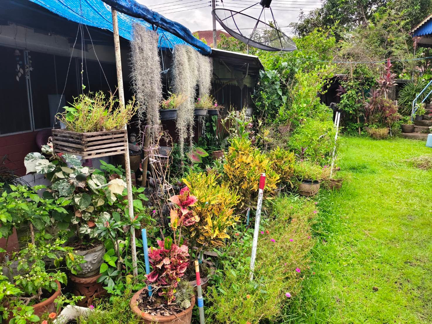 95858 - House for sale with land size 200 square meters, good location. 95858 - House for sale with land size 200 square meters, good location.