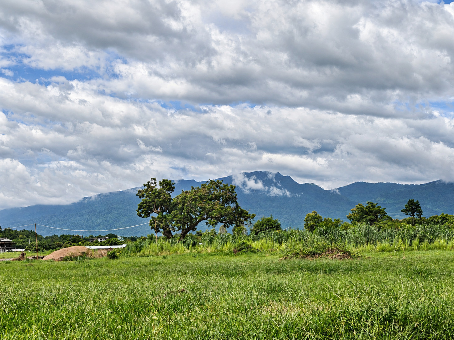 Rare 146 Rai Chiang Mai Land | 243 Mountain View Plots in San Sai – รูปที่ 2