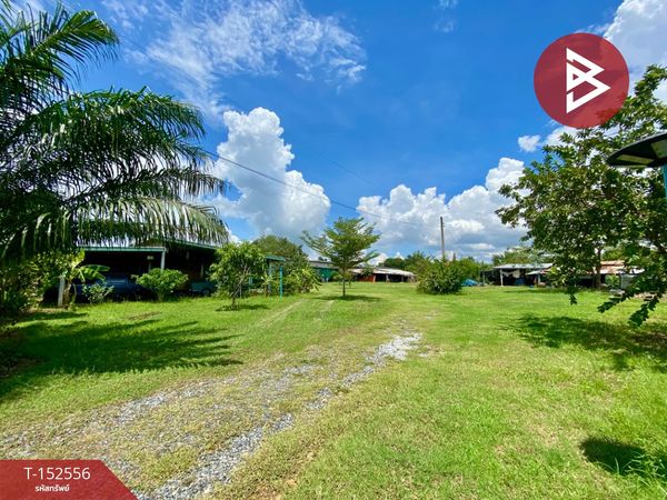 Land for sale, area 3 rai 1 ngan 45.4 sq m, Phanat Nikhom, Chonburi.