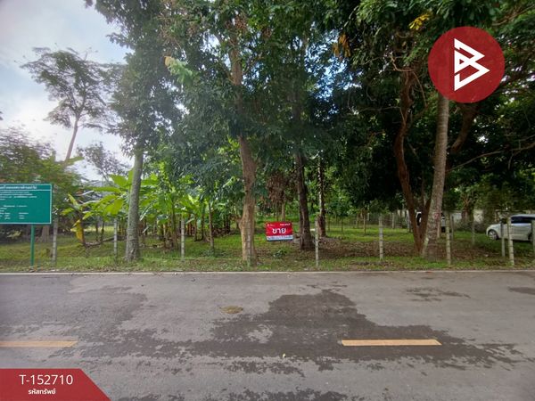 Land for sale, area 4 rai 55 sq m, San Sai, Chiang Mai.