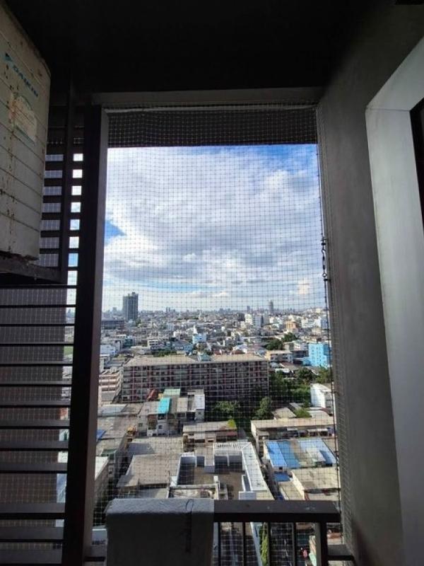 (A050331) Hive Taksin